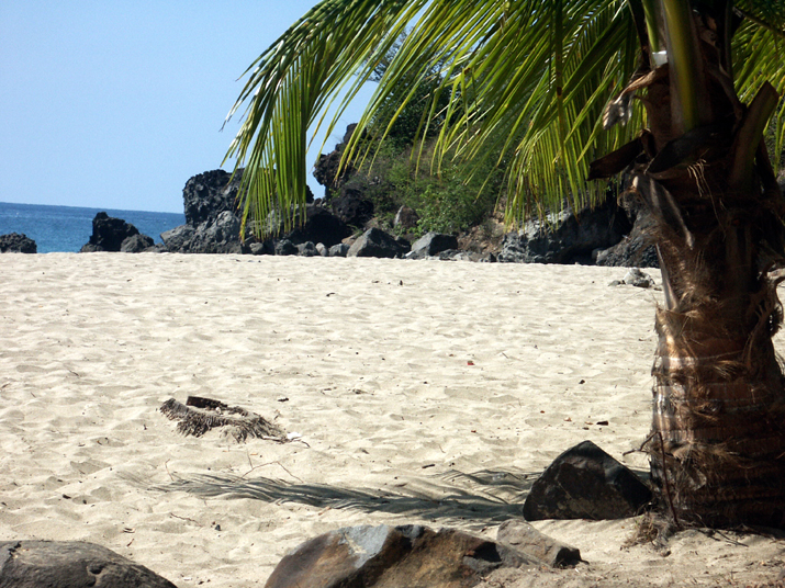18c - Plage Caraïbe 002.jpg - DCF 1.0